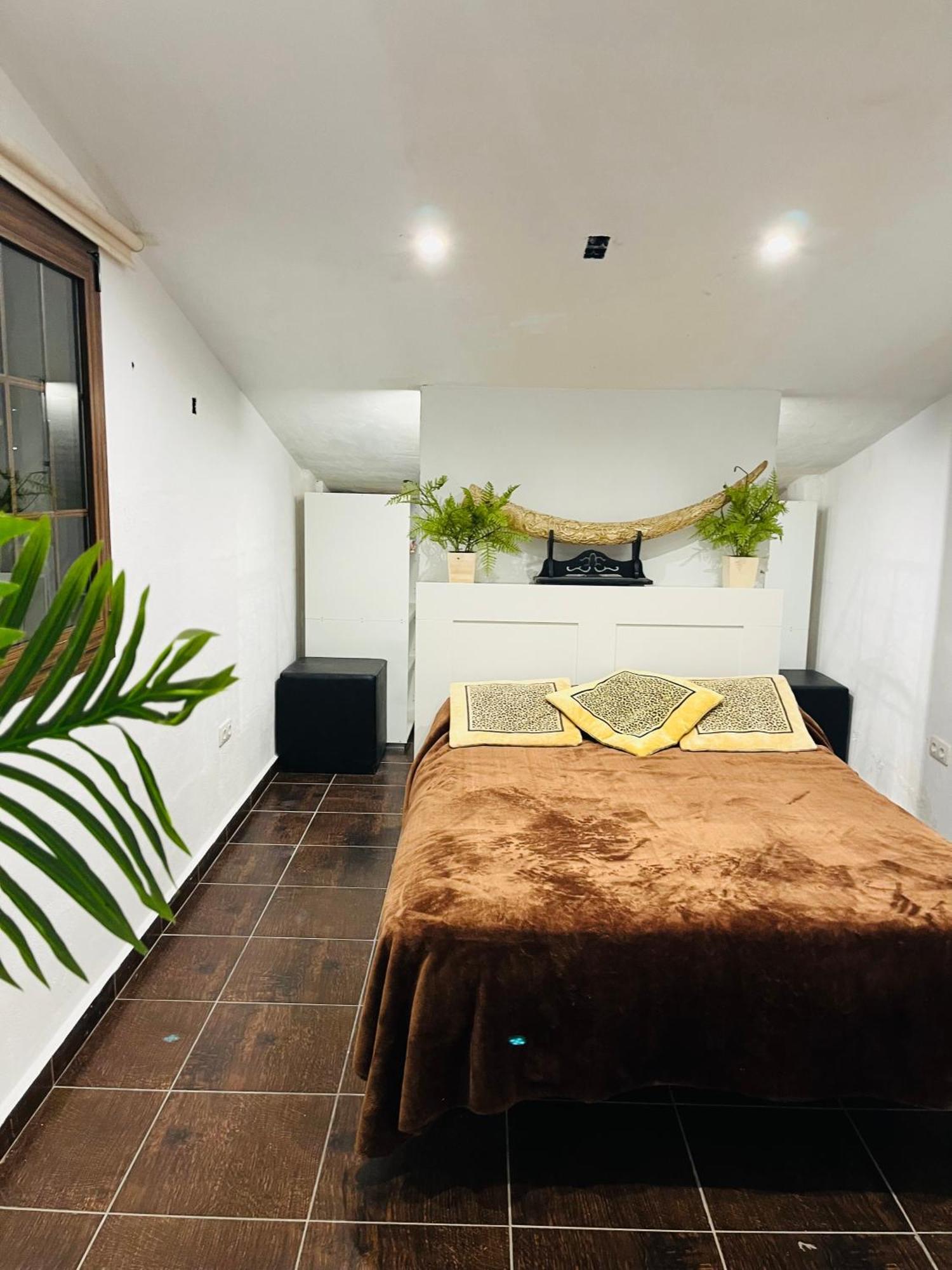 Pintadera House Vulcano Icod De Los Vinos Εξωτερικό φωτογραφία